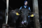 Bayburt’un ‘Mandalı Kızı’: Köyünün simgesi oldu