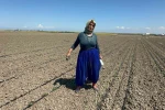 Belindeki 8 platinle tarlada ekmeğini kazanıyor