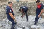 Beton zemin mahsur kalan yavru kedi için kırıldı