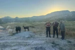 Bilecik’te kaybolan 9 küçükbaş hayvan bulunarak sahibine teslim edildi 