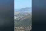 Bilecik’te orman yangını kontrol altına alındı