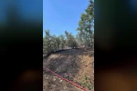 Bilecik’te orman yangını korkuttu