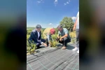 Bilecik’te yaban mersini hasadı yerinde incelendi