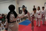 Bilecik’te Yaz Spor Okullarında tekvandoya yoğun ilgi