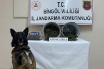 Bingöl’de 2 kilo esrar ele geçirildi: 1 tutuklama