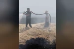 Bingöl’de arazi yangını: 2 bin dönüm arazi zarar gördü