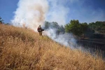Bingöl’de mera yangını kontrol altına alındı