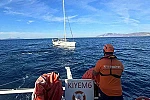Bodrum Akçalı Adası açıklarında arızalanan yelkenli tekne kurtarıldı 