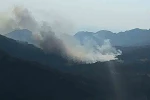 Bolu’da kritik orman yangını uyarısı