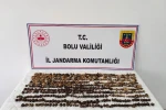 Bolu’da yabani salep toplayan 3 kişiye rekor ceza: 2 milyon 97 bin TL 