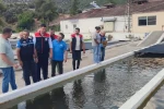 Bozdoğan’da su ürünleri üretimi 3 bin 696 tona ulaştı