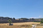Bozüyük’teki yangında 80 dönüm tarım arazisi zarar gördü