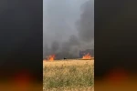 Buğday tarlaları alevlere teslim oldu 