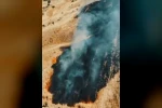 Buğday tarlası yangında zarar gördü 
