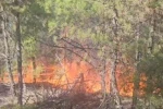 Buldan’da ormanlık alanda yangın çıktı 