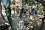 Burhaniye’de ağaç kesilmesine isyan