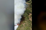 Bursa’da bir orman yangını daha
