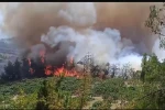 Bursa’daki orman yangını büyüyor