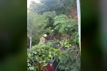 Büyükçekmece Mimar Sinan Sahil’de toprak kayması