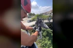 Çalıların arasına sıkışan balıkçıl kuşun imdadına itfaiye yetişti