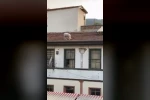 Çatıdaki koyunu görenler telefonuna sarıldı
