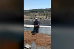 Çermik’te dutlar pazardaki yerini aldı