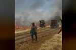 Çiftçilerin erken müdahalesi faciayı önledi 