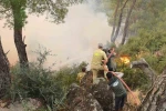 Çine yangınına müdahale ikinci günde sürüyor 