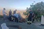Çöken çatıda mahsur kalan ineği itfaiye kurtardı 