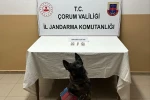 Çorum’da uyuşturucu hapla yakalanan 3 kişi gözaltına alındı 