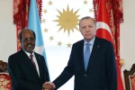 Cumhurbaşkanı Erdoğan, Somalili mevkidaşı Hasan Şeyh Mahmud’la bir araya geldi