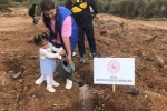 Datça’da fidanlar toprakla buluştu