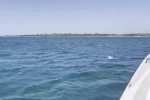 Deniz yatağıyla açığa sürüklenen çocuğu Sahil Güvenlik kurtardı 