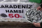 Denize kıyısı olmayan şehirde hamsinin kilosu 50 TL’ye düştü, vatandaş poşet poşet aldı 