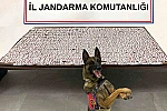 Denizli’de jandarma uyuşturucu tacirlerine geçit vermiyor 