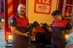 Depoya düşen köpek, itfaiye ekiplerince kurtarıldı