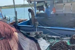 Didim’de balık ağları kontrol edildi 