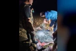 Didim’de sahipsiz balık ağlarına el konuldu 