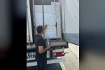 Didim’in balıkları, İngiltere yolcusu 
