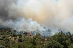 Dikili’deki yangına havadan 7 uçakla müdahale 