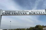 Diyarbakır Canlı Hayvan Borsası tadilata alındı 