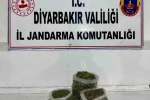 Diyarbakır’da 14 kilo esrar ele geçirildi 