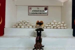 Diyarbakır’da 470 kilo skunk ve 85 kilo esrar ele geçirildi