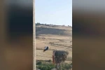 Diyarbakır’da ayağı yuvasındaki bez parçasına takılan leylek kurtarıldı