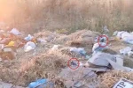 Diyarbakır’da boş arazideki çöpler fare yuvasına döndü