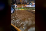 Diyarbakır’da sağanak yolları göle çevirdi 