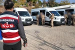 Diyarbakır’da uyuşturucu operasyonu: 18 gözaltı, 15 milyar lira değerindeki malvarlığına el konuldu 