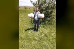 Doğada 20 kiloluk mantar buldu 