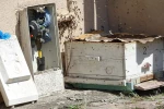Doğal gaz kutusuna yuva yapan arılar tedirgin etti 