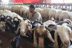 Doğal peynir üretiminin adresi Konya! Kilosu 600 liradan satılıyor